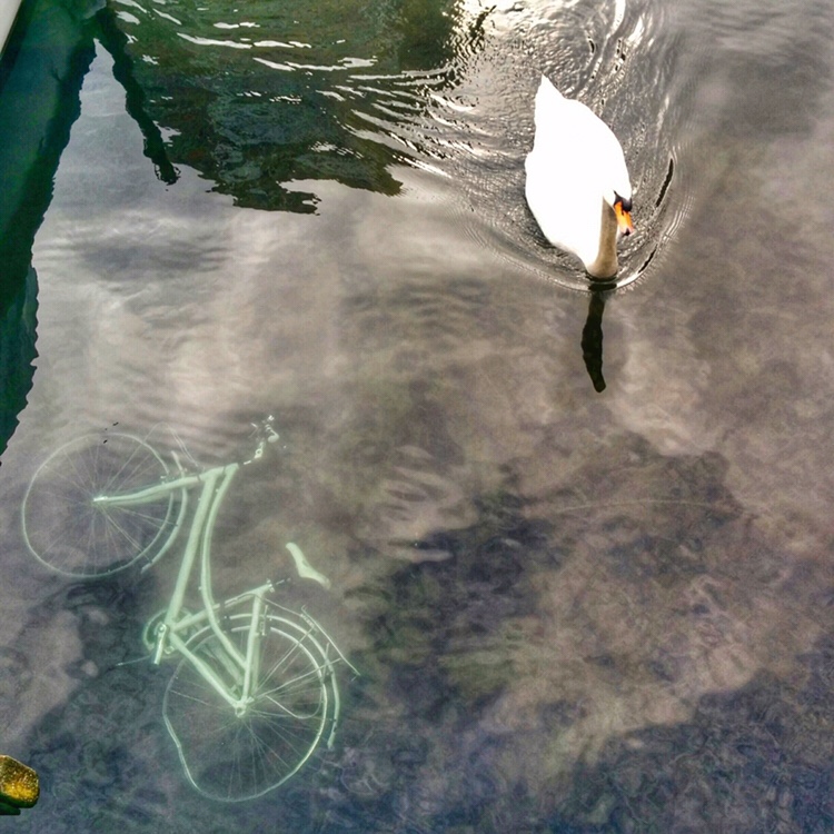 img_20150301_144749~2